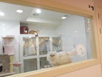 장평종합동물병원