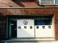 대학동물병원
