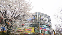 그리고 봄 미술교습소