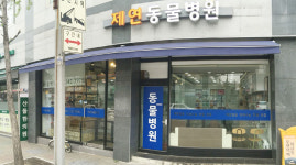 제연동물병원