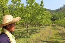 동막골오디농장