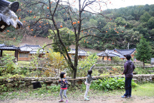 안덕건강힐링체험마을