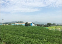 서대감농원