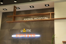유앤미동물병원