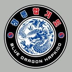 특전사청룡합기도