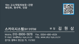 스카이시스템