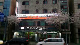 오토존