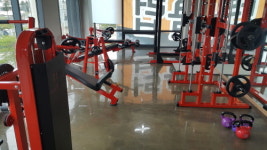 경희대스포츠클리닉