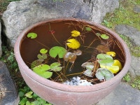 송산골농장