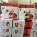 얼음골사과농원