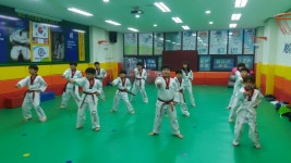 경희대박사태권도