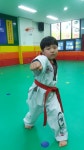 경희대박사태권도