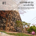 트리빈