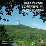 트리빈