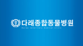 다래동물병원