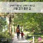 트리빈