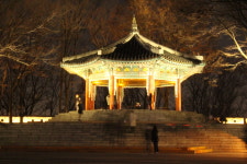트리빈