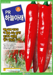 선진종묘