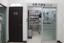 로얄도그&캣메디컬센터 스타건대점