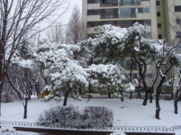 목동부동산공인중개사사무소
