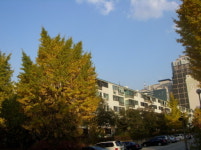 목동부동산공인중개사사무소