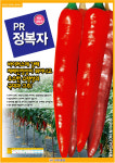 선진종묘