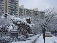 목동부동산공인중개사사무소