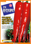 선진종묘