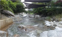 백운산장