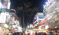 마루부동산공인중개사사무소