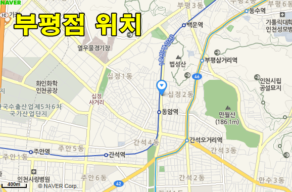 월드렌트카
