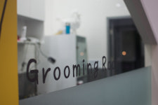 24시 폴동물병원