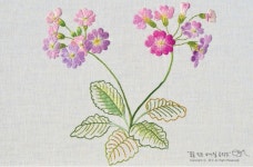 한국야생화자수협회