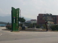 강릉농산물도매시장