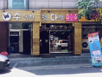수상한 펫다방