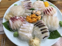 진참치랑연어