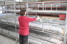 하림귀뚜라미개구리농장