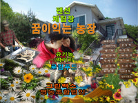 그린맥스푸드