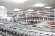 하림귀뚜라미개구리농장