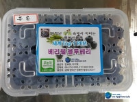 베리웰블루베리농원
