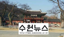 수원뉴스