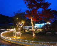 초락나루펜션&글램핑