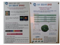 솔트힐링
