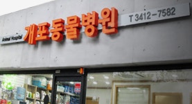 개포동물병원