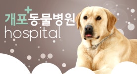 개포동물병원