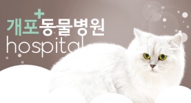 개포동물병원