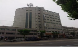 HS평생교육원 국비애견미용학원