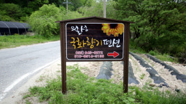 월성국화향기펜션