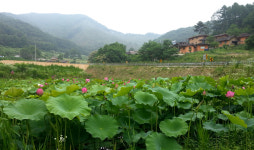 황토마을힐링센터