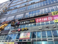 모디시스